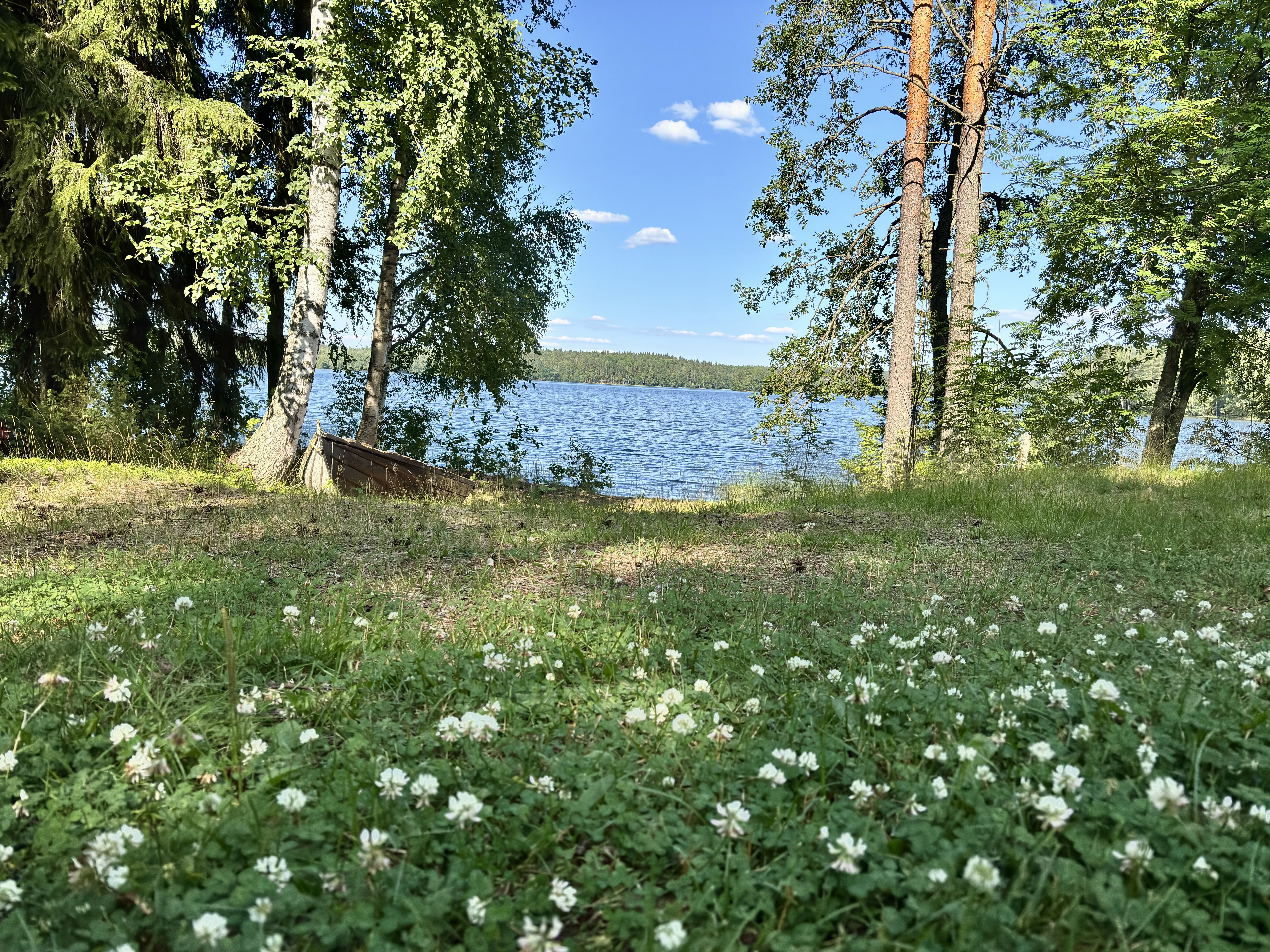 Kuhmoinen countryside